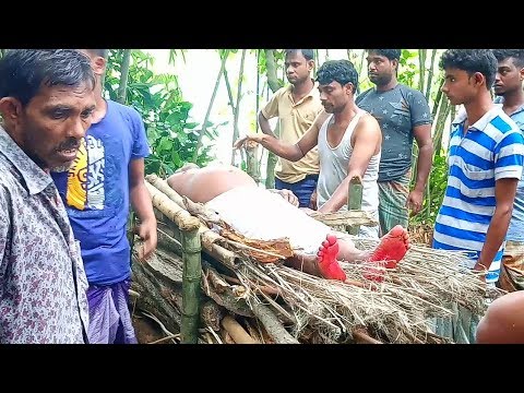 ভিডিও: কীভাবে মাটি পোড়াবেন