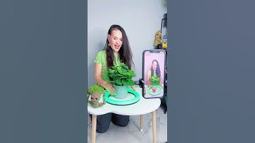 Funny tutorial #katebrush #tutorial