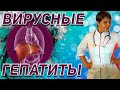 ВИРУСНЫЕ ГЕПАТИТЫ