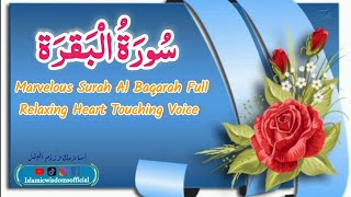 THE MOST HEART TOUCHING RECITATION OF SURAH BAQARAH