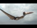 Hatzegopteryx : la plus grande créature volante (Planète Dinosaures) - ZAPPING SAUVAGE