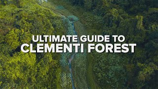 ULTIMATE GUIDE TO CLEMENTI FOREST — The Best Route for Hiking in Singapore! screenshot 4