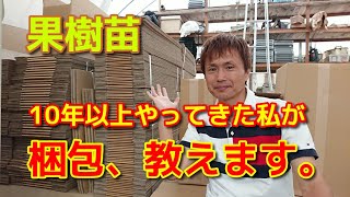 【果樹苗の梱包】トラブルが起きない「ベストな方法」教えます。