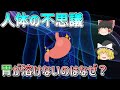 【ゆっくり解説】金属さえ溶かしてしまう胃の消化液　何で自分酸で胃は溶けないの？