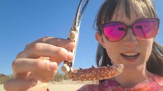 Dog Days in Dampier || Day 13