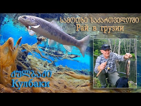 სამოთხე საქართველოში-ქულბაქი\"მწვანე ტბა\". Pай в грузии-Кулбаки \"зелёное озеро\"