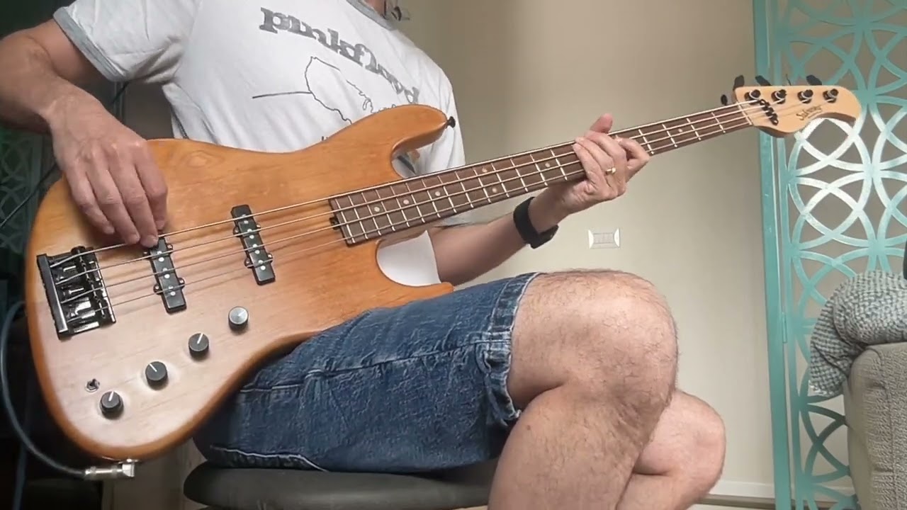 גידי גוב - זה תלוי רק בנו - בס