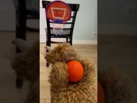 Jerry and Blueberry try to play basketball.