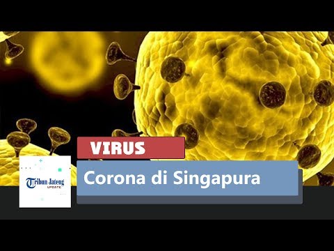 kasus-pertama-virus-corona-di-singapura