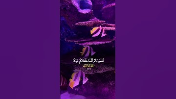 سورة المؤمنون #القرآن_الكريم #اكسبلور #اسلاميات #حالات_واتس