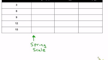 Lab 5A - What is a Newton? (Mass & Weight) - Part 3 - Graph