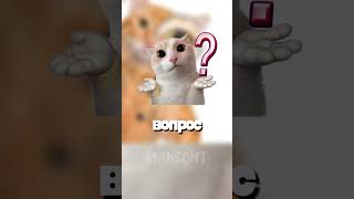 Кот когда-то работал в Пятерочке