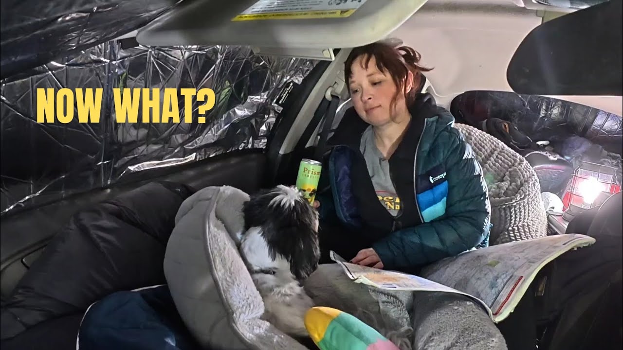 Как я оказался спящим на обочине шоссе