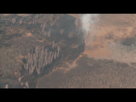 Лесные пожары в