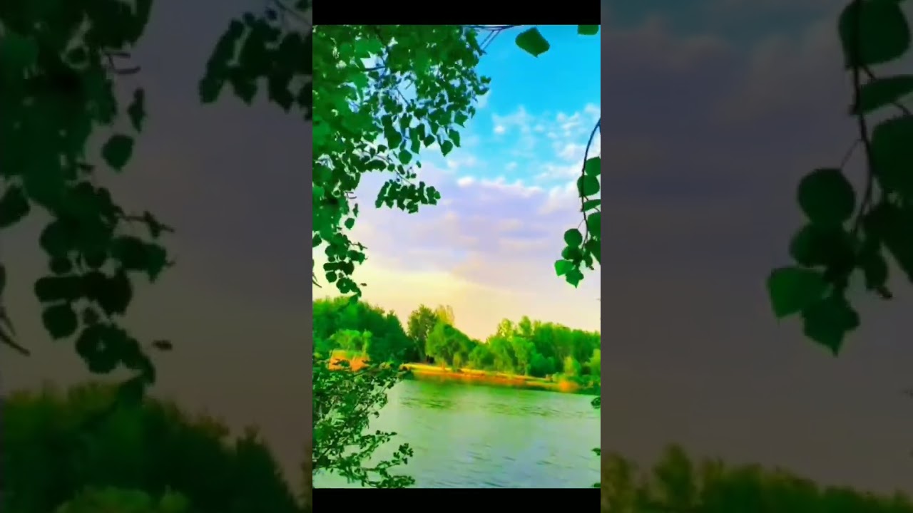 Capturing Splendor Exploring Life's Beautiful Moments