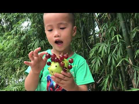 Video Cách làm con nhím bằng hoa quả - youtube