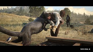 RDR2 - Cougar prevents John from building a house
