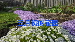 Sophie's Garden 五月初的花园