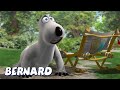 Bernard Bear | A day in the country 3 AND MORE | Cartoons for Children | Full Episodes