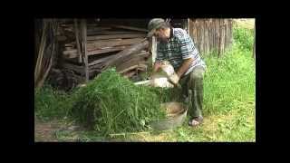 Как делать компост (bochka) Как делать компост (bochka)