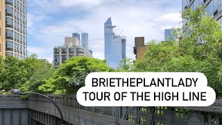 Tour of The High Line in NYC