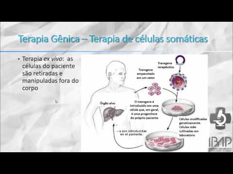 Vídeo: Diferença Entre Transfecção Transitória E Estável