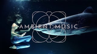 Ambient Music | Background Music | Attraction Resimi