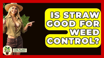 Is Straw Good For Weed Control? - The Plant Enthusiast
