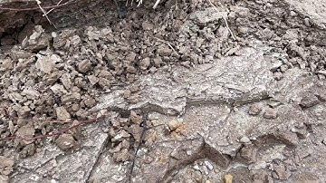 Cruffles - synthstrom deluge - elektron analog four - arturia matrixbrute - : live session