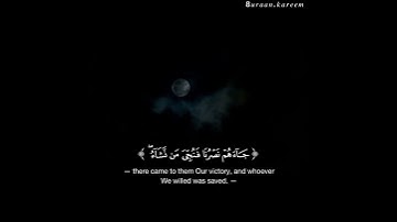 القارئ عبدالرحمن مسعد / سورة يوسف الآية (١١٠)