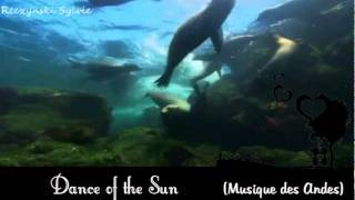 Dance of the sun (Musique des Andes)