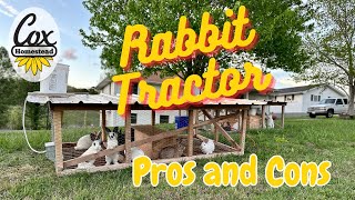Polyface Rabbit Tractor Pros and Cons: WHAT WENT WRONG with raising rabbits on pasture?!?!
