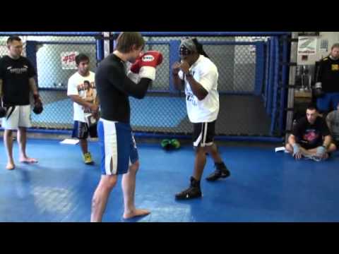 THE TRUE BOXER STANCE Explained