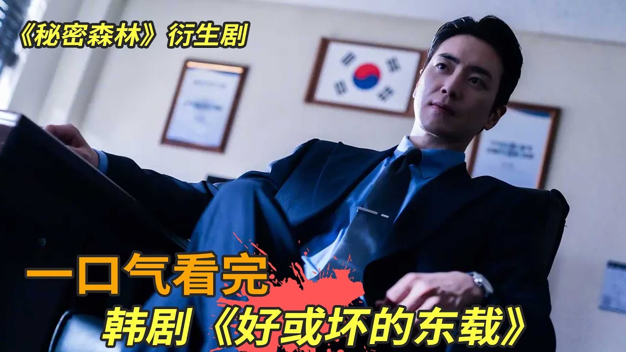 韩剧《或好或坏的东载》一口气看完，《秘密森林》衍生剧，检察官亦正亦邪游离于政商之间