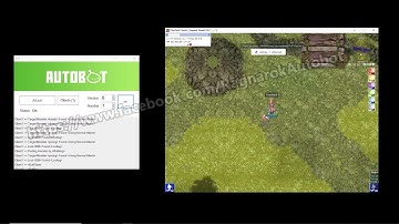 Ragnarok AutoBot - PlayPark RO (DEMO)