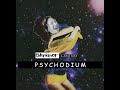 SLIP CXNTURY - PSYCHODIUM