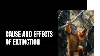 Video 7-Panel discussion-Cause and effects of extinction