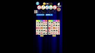 Bingo: New Free Cards Game Vegas and Casino Feel screenshot 1