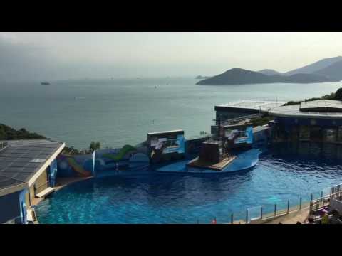 あの日、兄貴が灯した光主題歌賛曲