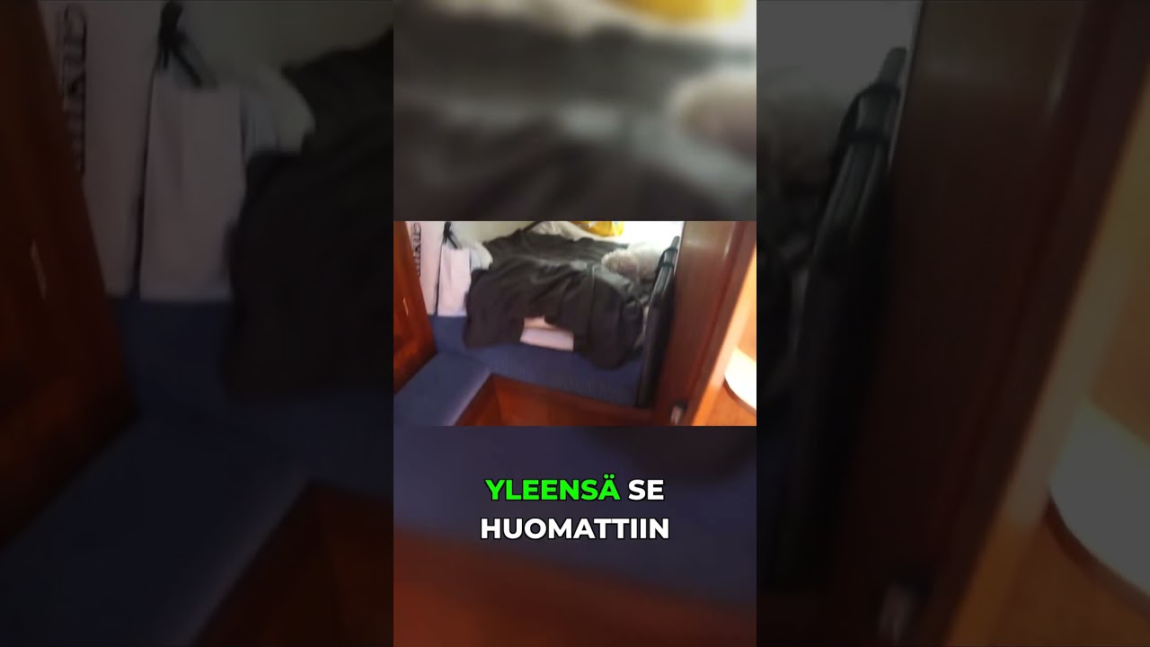 Koiramme lempipaikkka veneessä – oma Ikea-kassi! 🐶