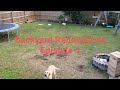Backyard Renovations Episode 1