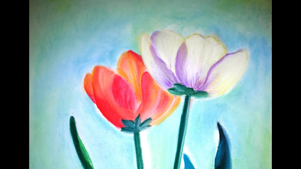 Tulipanes