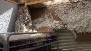EF-1 tornado touches down in Hyda Park, Bellevue, Nebraska