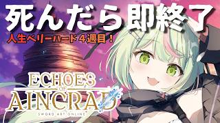 【Echoes of Aincrad】デスゲーム＆ベリ…