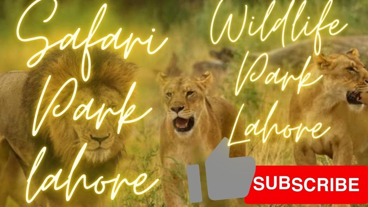 Safari Park Lahore Lahore Wildlife Park Safari Zoo Lahore Fun safari-park-lahore-lahore-wildlife-park-safari-zoo-lahore-fun