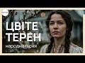 Цвіте терен Сумна українська народна пісня
