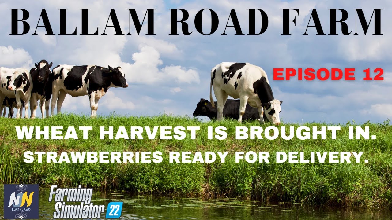 BALLAM RD DAIRY FARM LET'S PLAY EP 12 WHEAT HARVESTEDCONSOLEXBOX YouTube