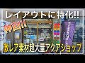 レイアウトに超特化‼ 八海石や万天石が大量‼ 超巨大流木もあり海外からも客が来る奇跡のアクアショップ‼ Trashさん‼ aquarium アクアリウム 熱帯植物 熱帯魚 水草 流木 パルダリウム