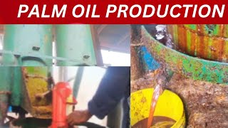 PALM OIL PRODUCTION METHOD IN NIGERIA+HOW TO PRODUCE PALM🌴 OIL WITH THE PRODUCING MACHINE+ NUELCHUKY