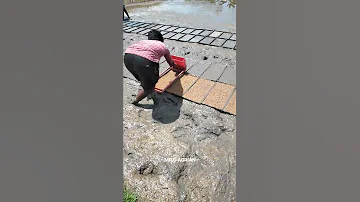 Paddy Transplanter Machine Full Video Link In Comment Box 